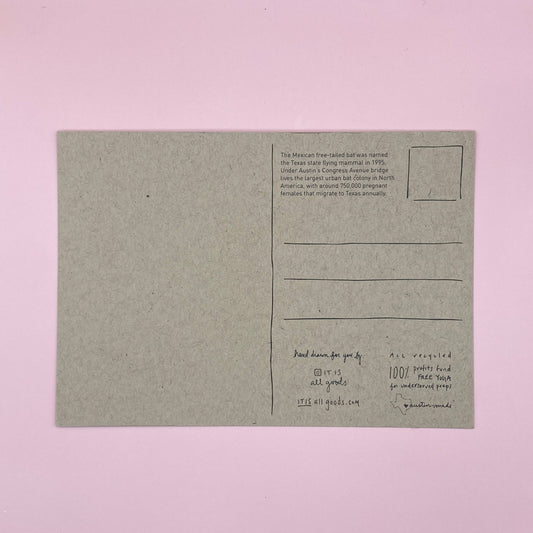 Bat City, Austin Texas | Postcard