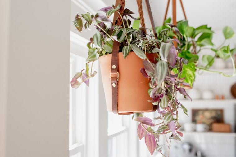 Braided Leather Plant Sling - Small World Goods