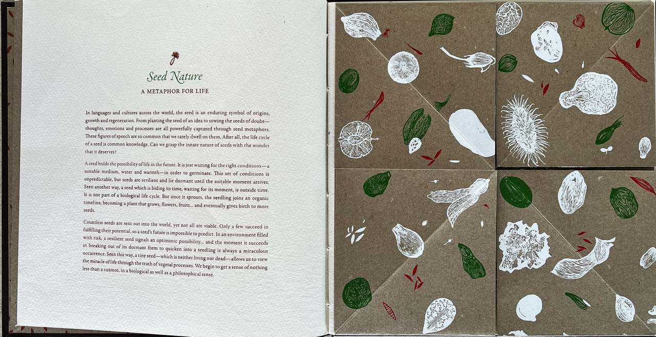 To Seed, book