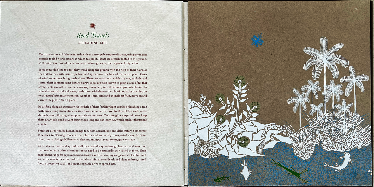 To Seed, book