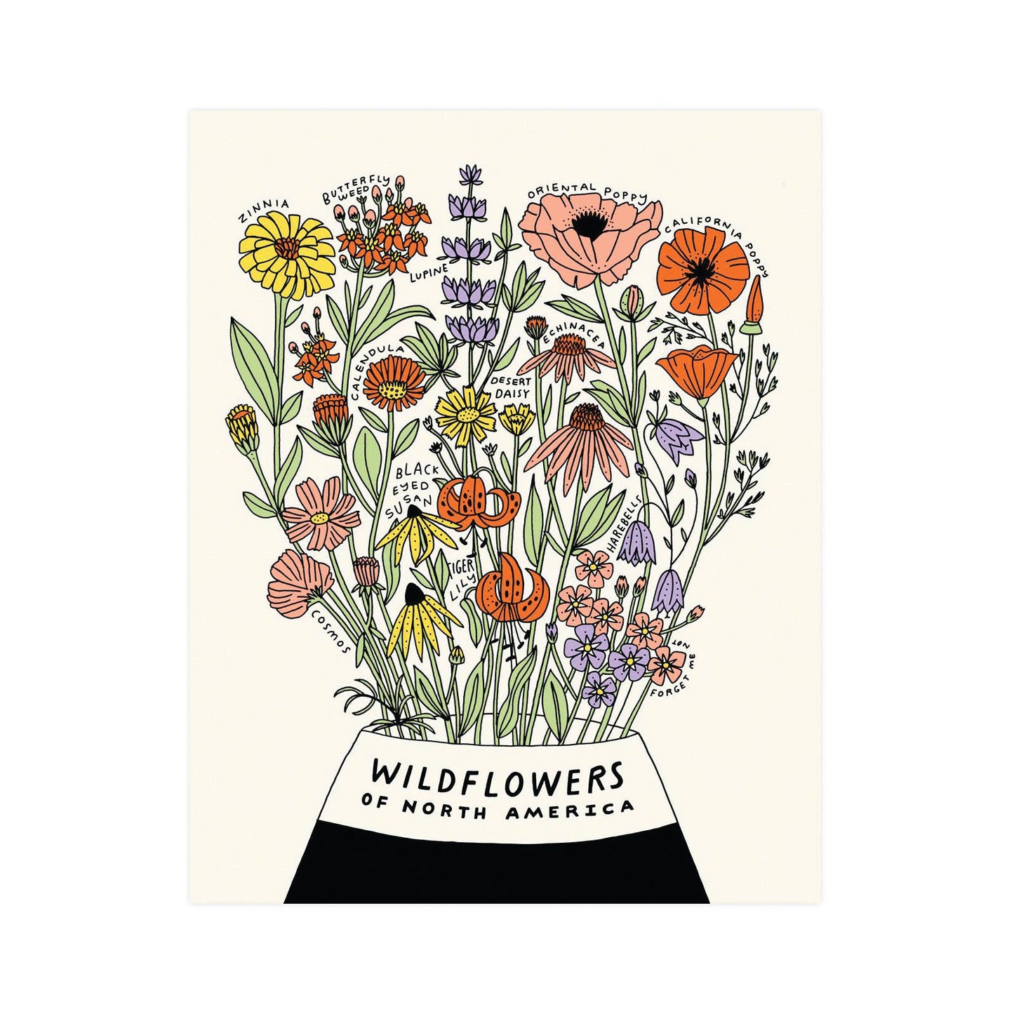 Wildflowers of North America Print - Small World Goods