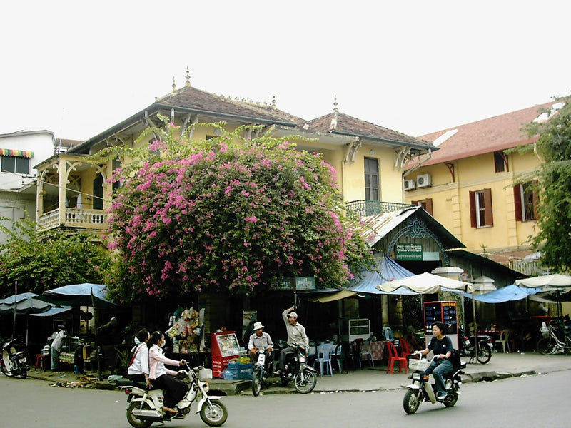 Fascination with Phnom Phen