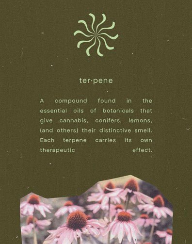 Beam Candle - Small World Goods