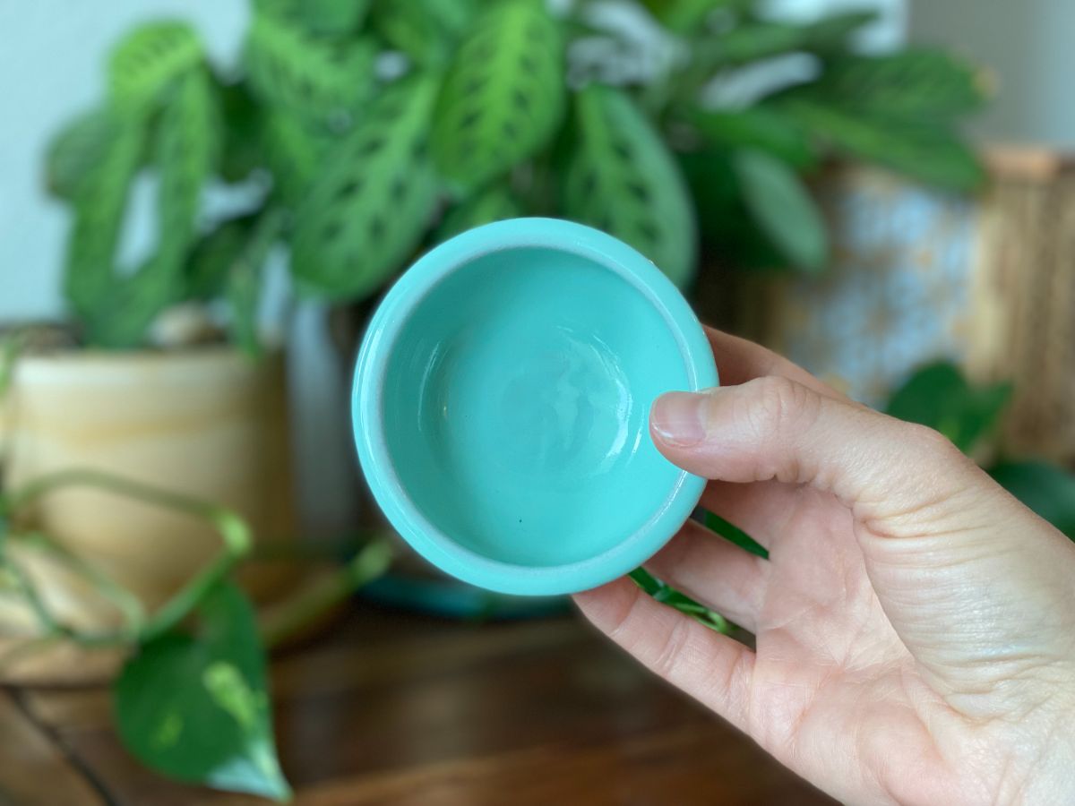 Copita Bowl - Small World Goods