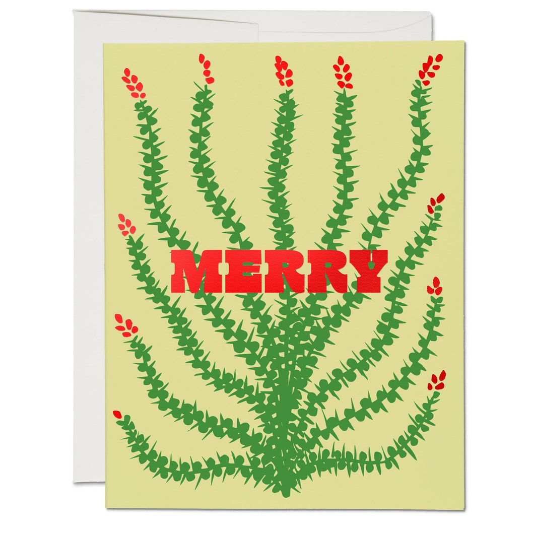 Holiday Cactus holiday greeting card - Small World Goods