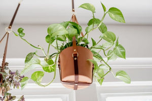 Simple Leather Plant Sling - Small World Goods