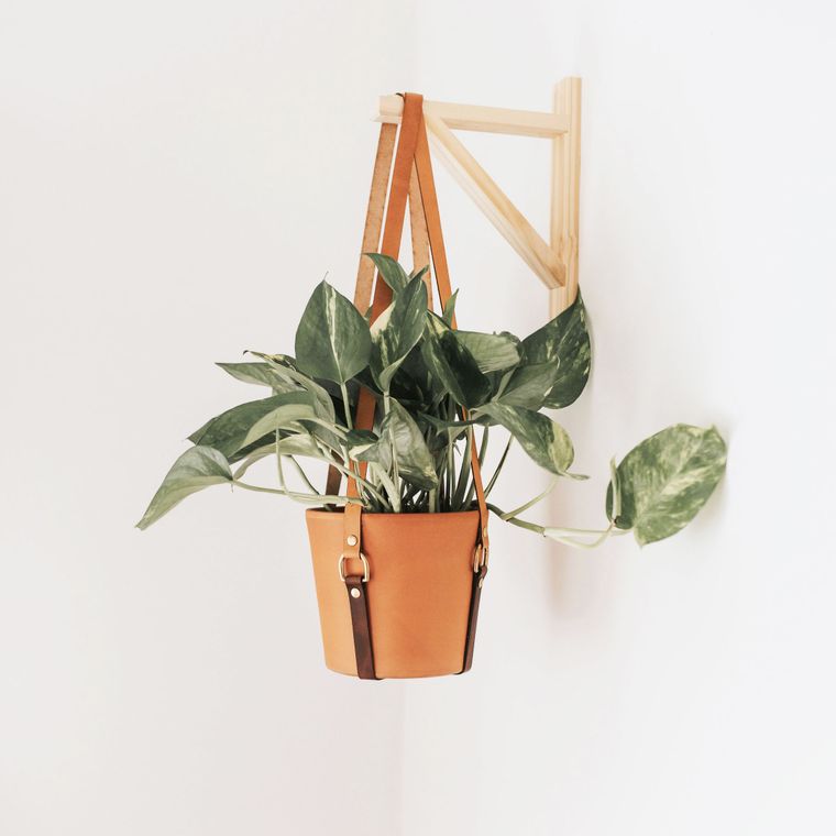 Simple Leather Plant Sling - Small World Goods