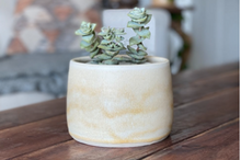 Load image into Gallery viewer, Canyon Planter