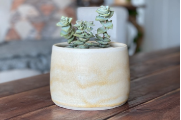 Canyon Planter