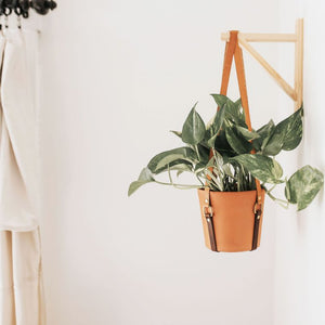 Simple Leather Plant Sling